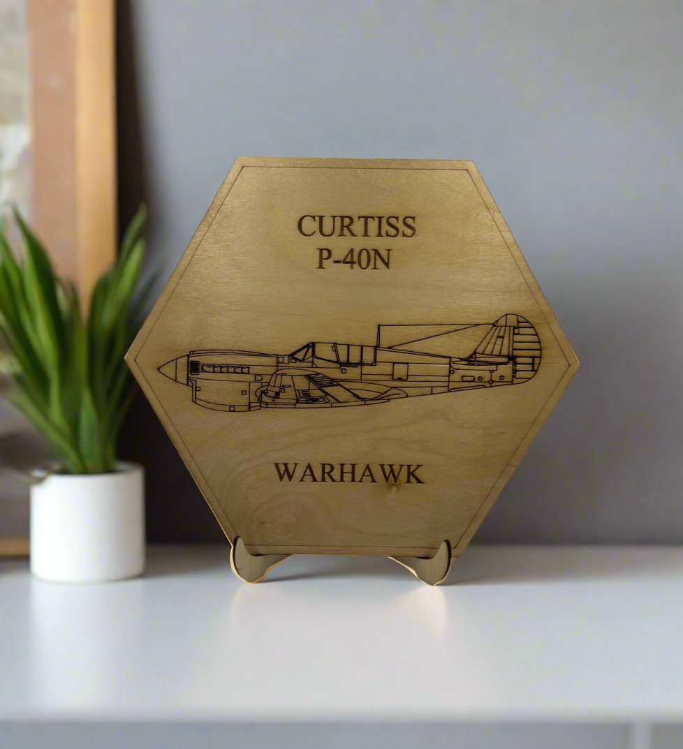 World War II American Airplane Fighter Display or Wall Art (1 piece)