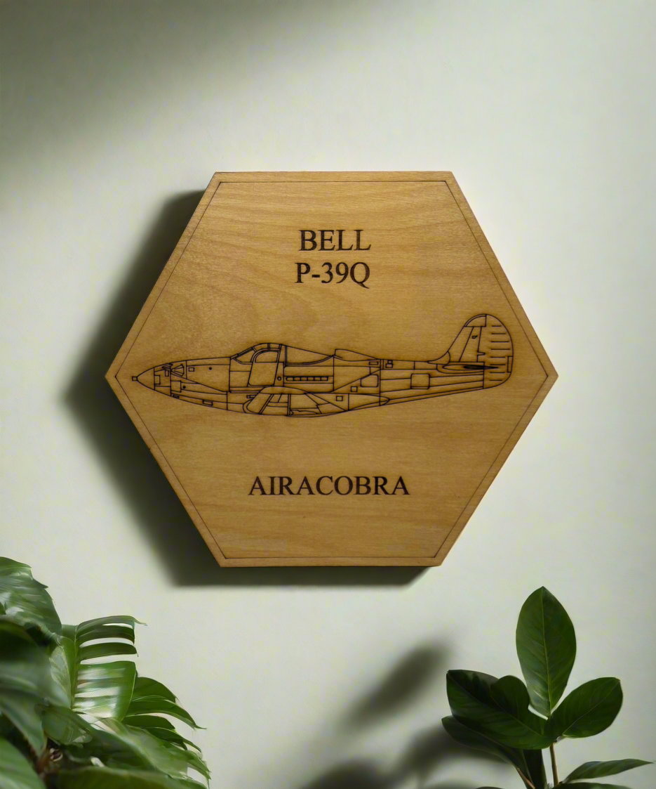 World War II American Airplane Fighter Display or Wall Art (1 piece)