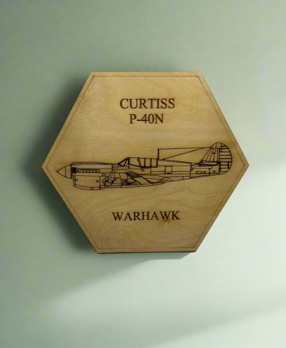 World War II American Airplane Fighter Display or Wall Art (1 piece)