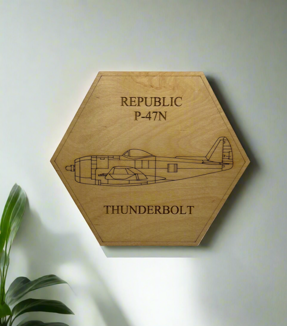 World War II American Airplane Fighter Display or Wall Art (1 piece)